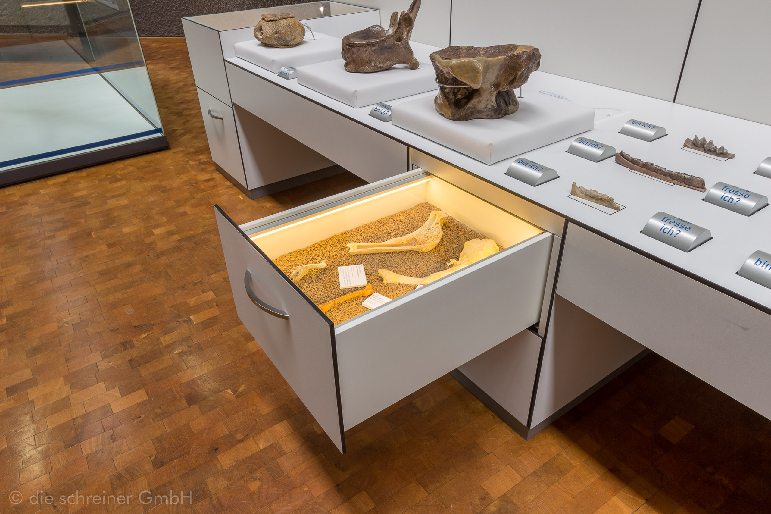 Naturkundemuseum Stuttgart